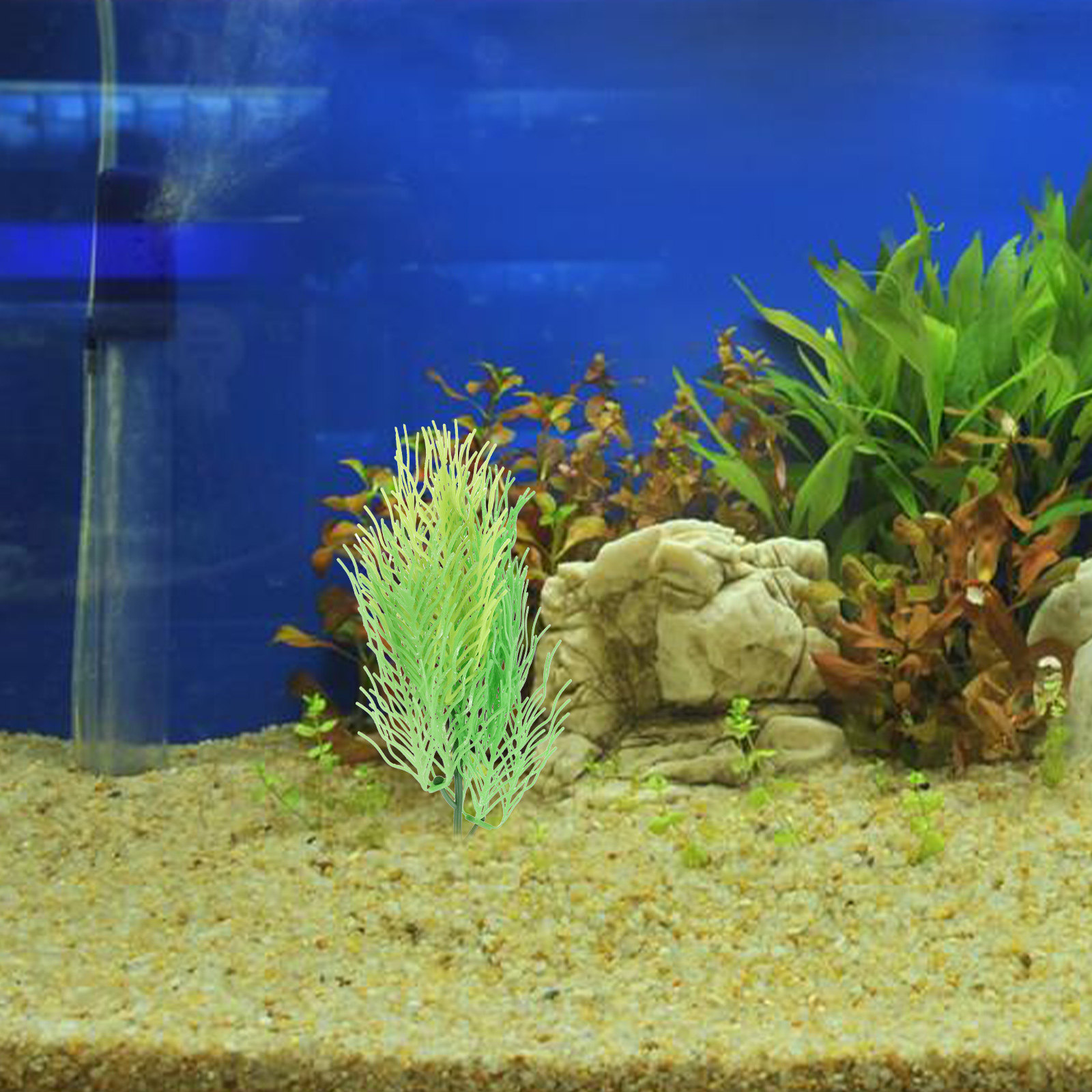 Dekorasi Tanaman Akuarium Horn - Aquarium Planted Setup ulasan dan harga