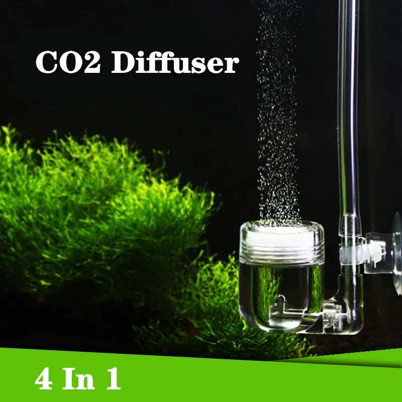 Reaktor Gelembung Tangki Kaca  - Aquarium Plant Live ulasan dan harga
