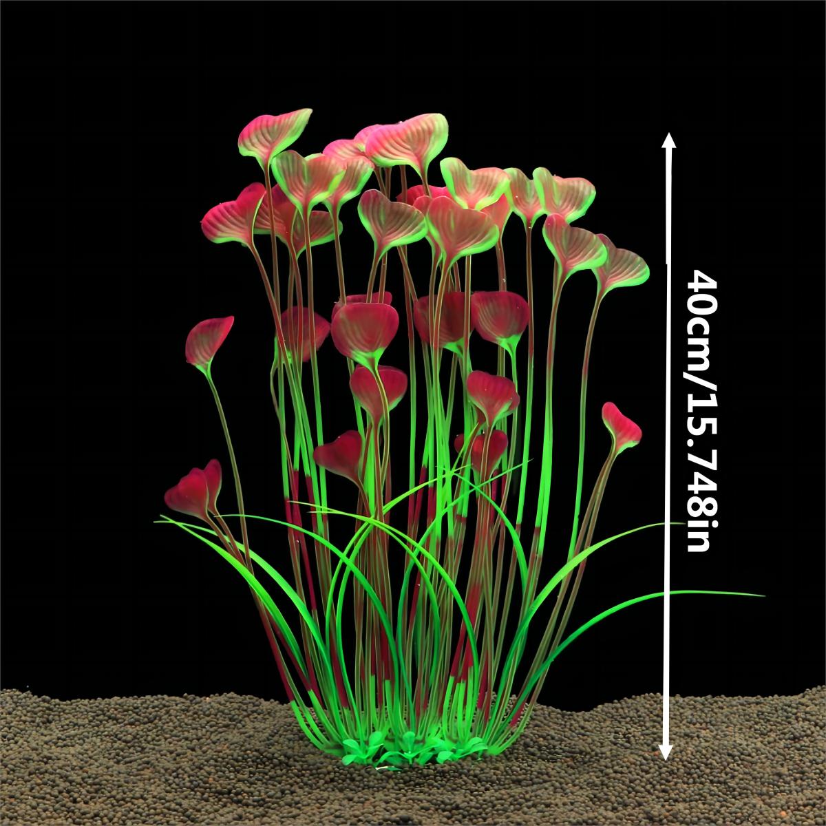 1 buah tangki ikan tanaman air - Aquarium Plant Seeds ulasan dan harga