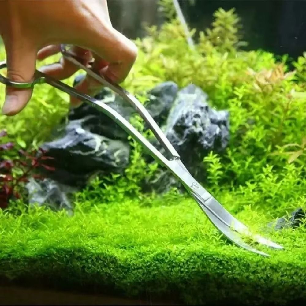1 Buah Gunting Akuarium Baja T - Aquarium Plant Grass ulasan dan harga