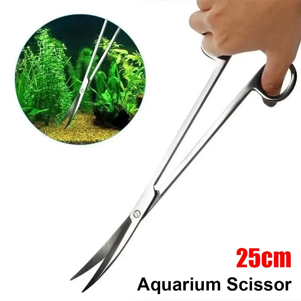 1 Buah Gunting Akuarium Baja T - Aquarium Plant Grass ulasan dan harga