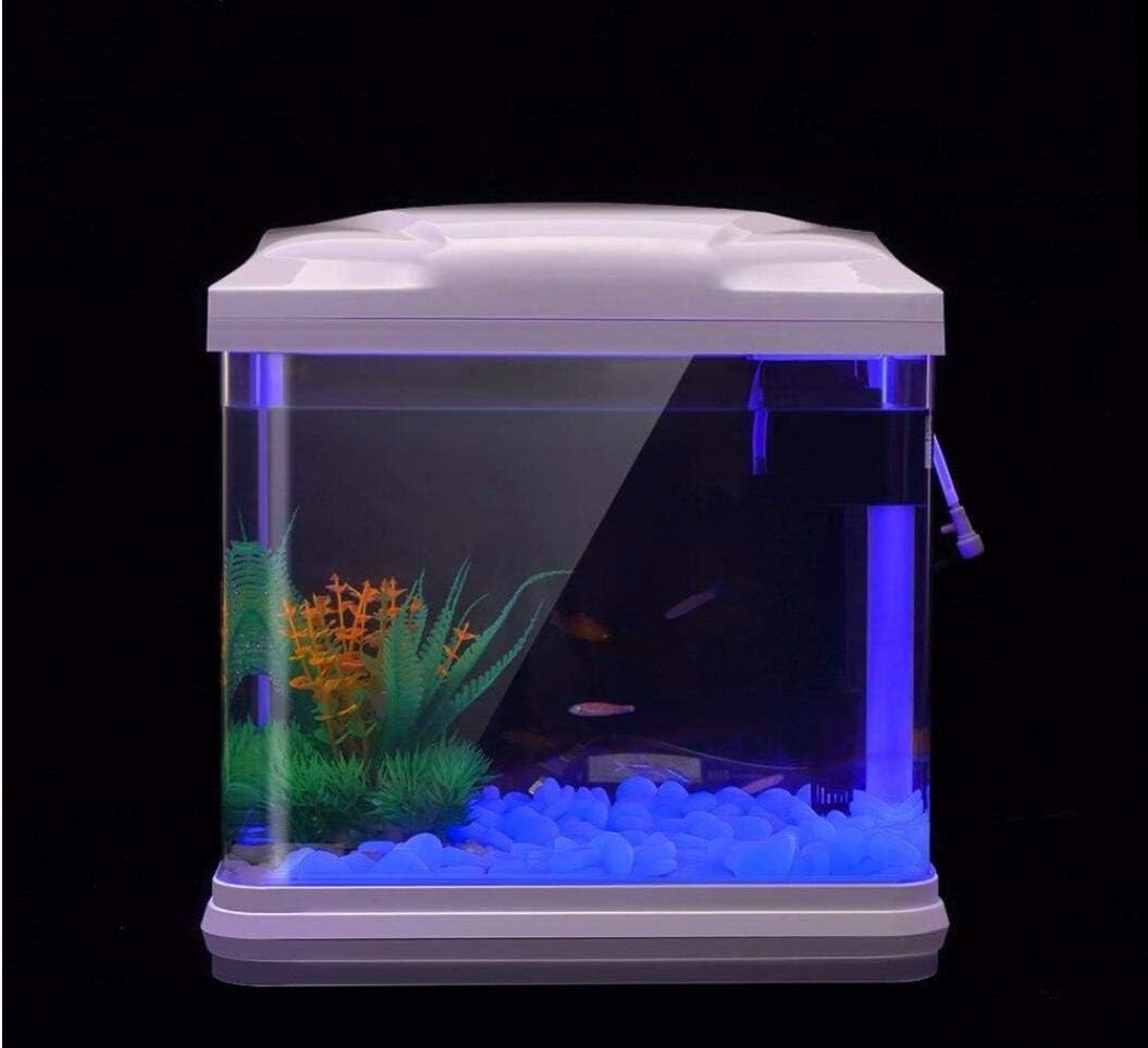 Batu Tangki Ikan Kerikil Biru  - Aquarium Planted Plants ulasan dan harga