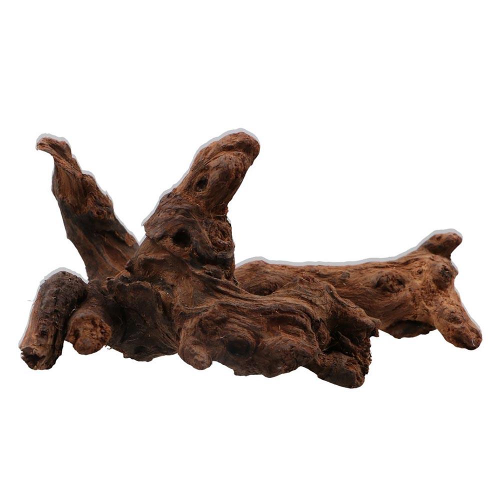 Kayu Karang Bentuk Tidak Berat - Aquarium Planted Wood ulasan dan harga