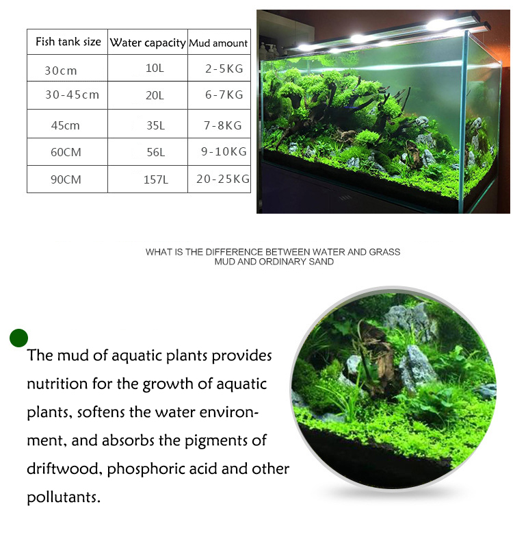 Bibit Tanaman Akuarium Tanah T - Aquarium Plant Seeds ulasan dan harga