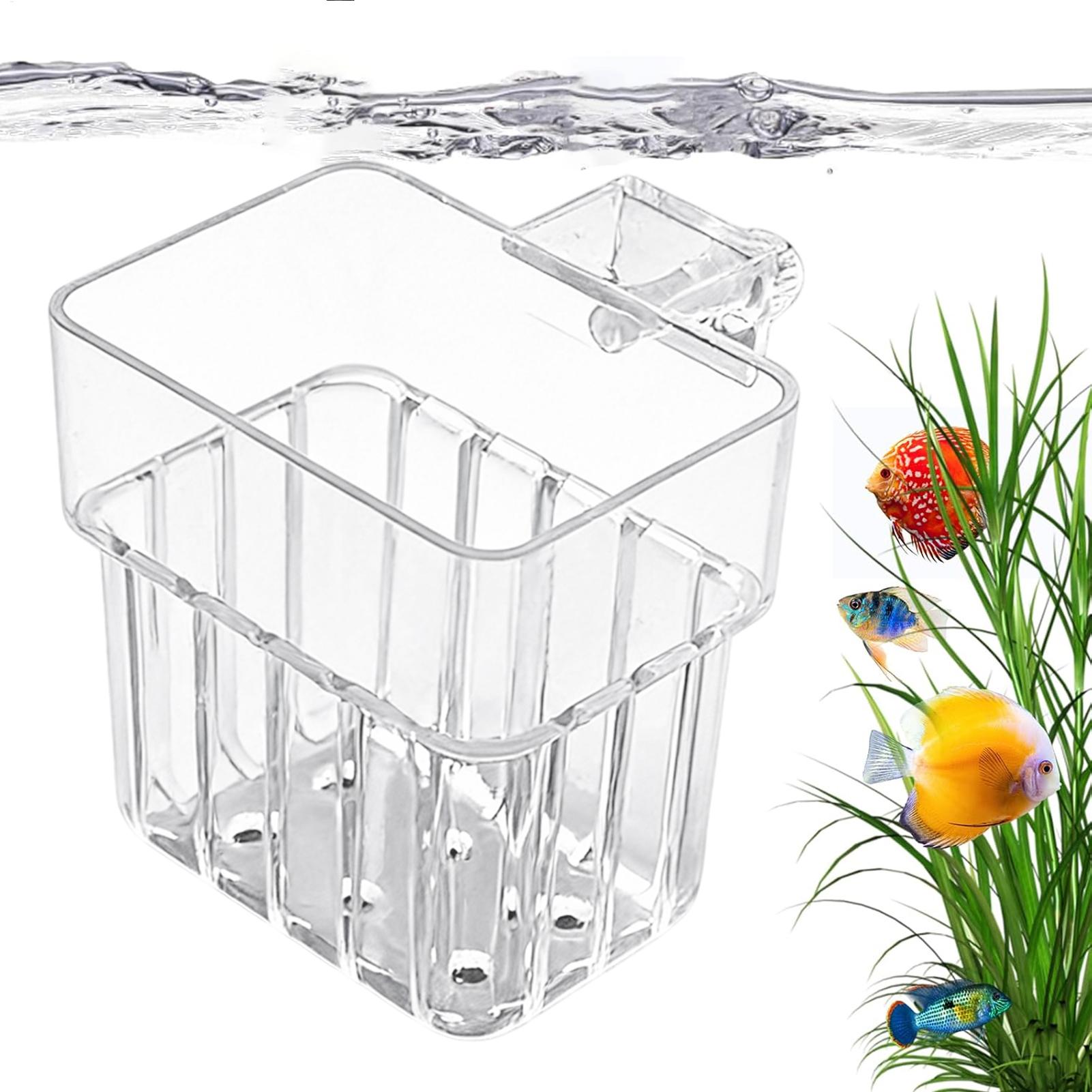 Pot Gantung Transparan untuk A - Aquarium Plant Live ulasan dan harga