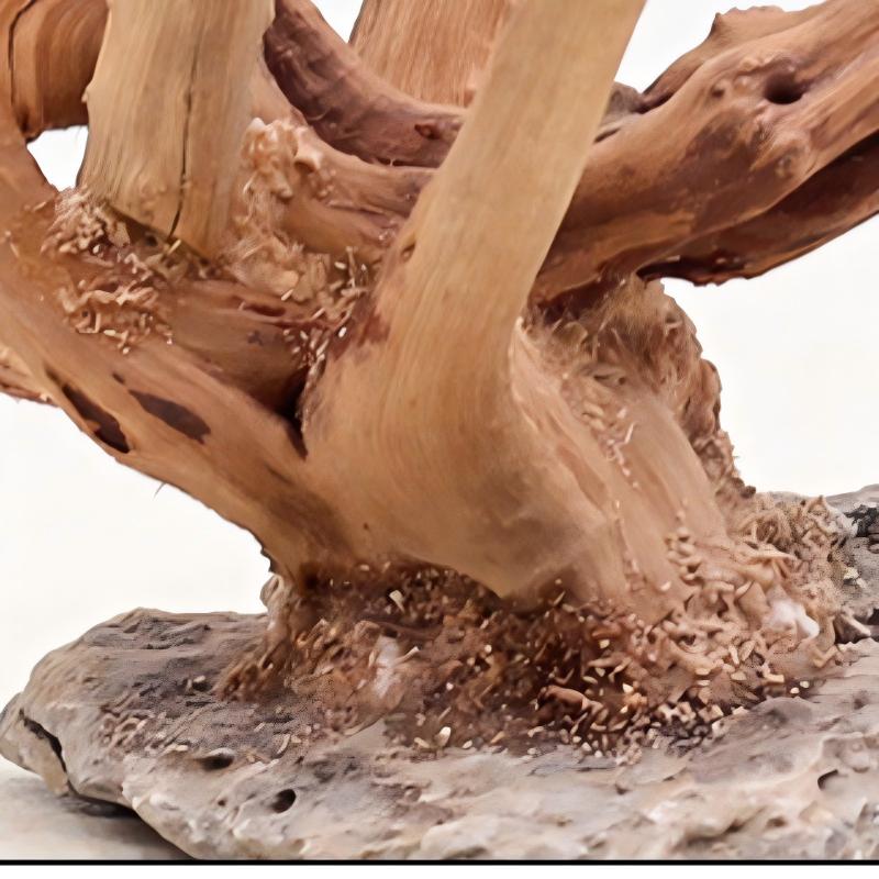 1 Buah Hiasan Kayu Lanskap Aku - Aquarium Planted Wood ulasan dan harga