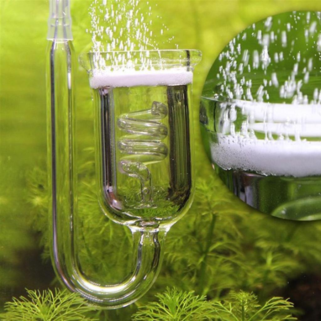 Diffuser CO2 Kaca Tahan Lama,  - Aquarium Planted Setup ulasan dan harga