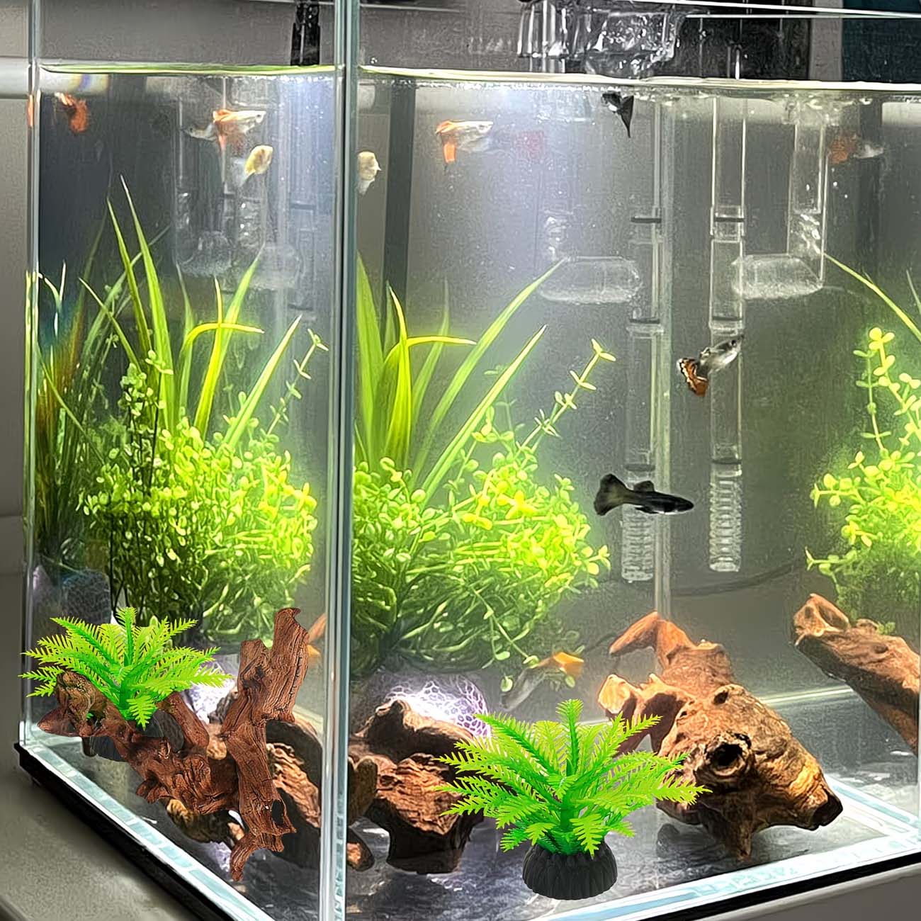 Kayu Apung Alami 5-10CM untuk  - Aquarium Planted Wood ulasan dan harga