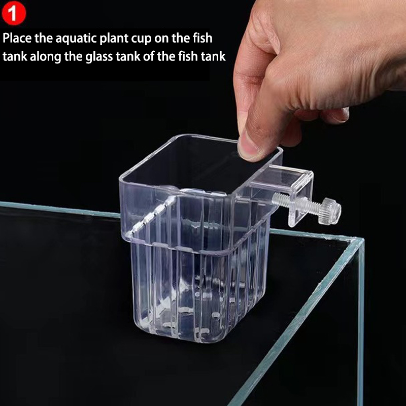 Akuarium ikan multifungsi cang - Aquarium Plant Grass ulasan dan harga