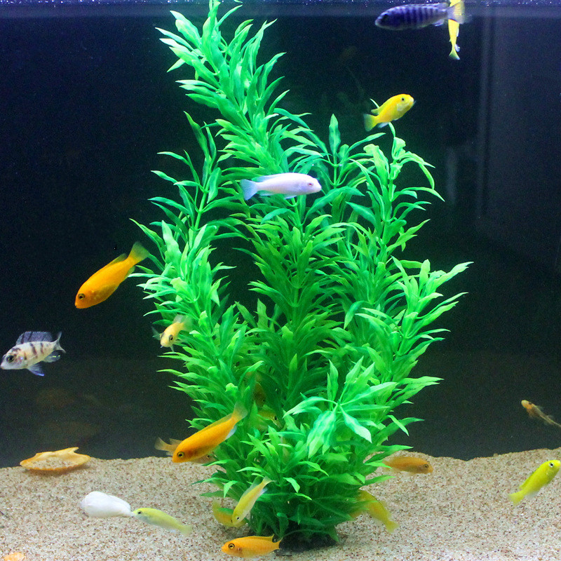 50CM Kolam Ikan Buatan Tanaman - Aquarium Plant Grass ulasan dan harga