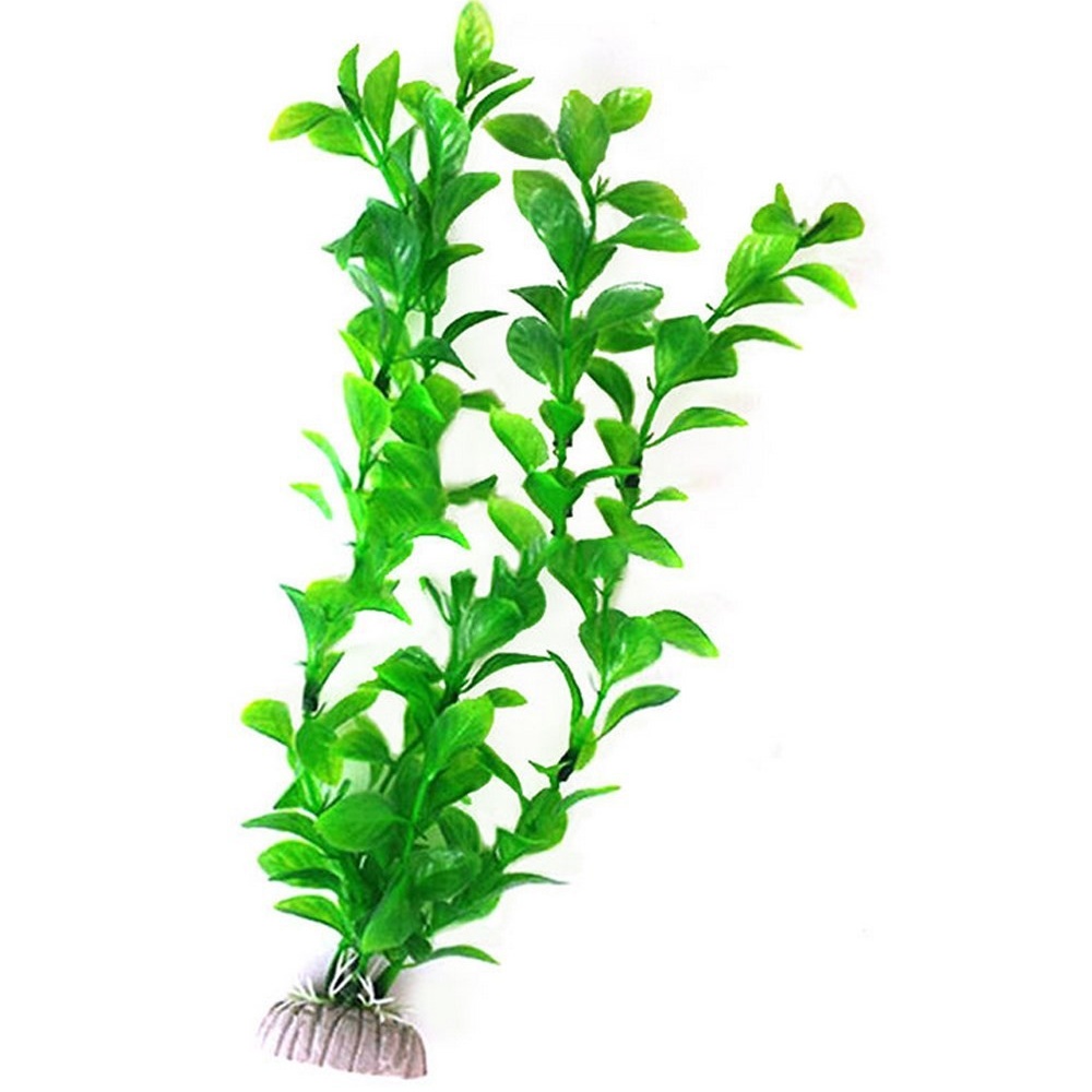 1/3 Buah Tanaman Hias Akuarium - Aquarium Plant Seeds ulasan dan harga
