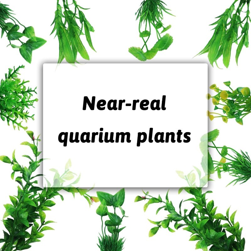 10/20 Buah Ornamen Tanaman Aku - Aquarium Plant Grass ulasan dan harga