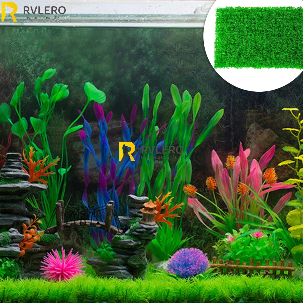 Rumput buatan akuarium rumput  - Aquarium Plant Live ulasan dan harga