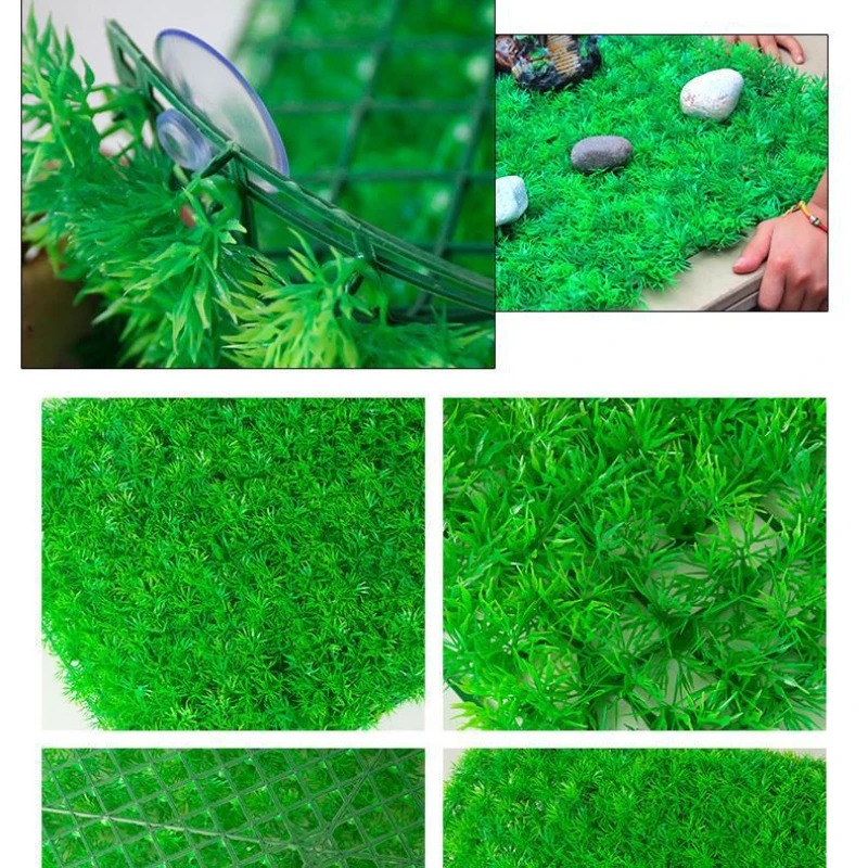 Rumput buatan akuarium rumput  - Aquarium Plant Live ulasan dan harga