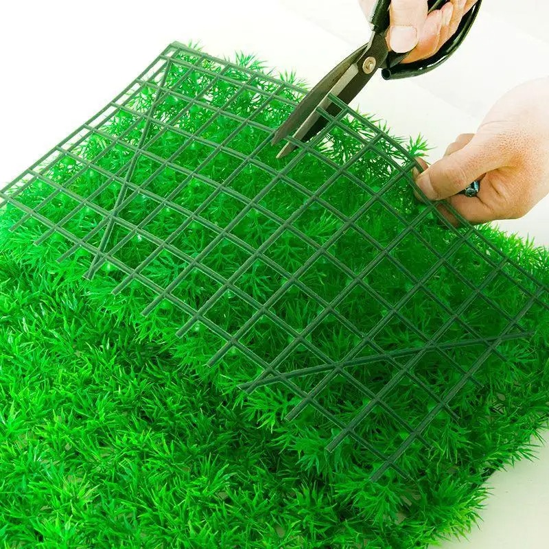 Rumput buatan akuarium rumput  - Aquarium Plant Live ulasan dan harga