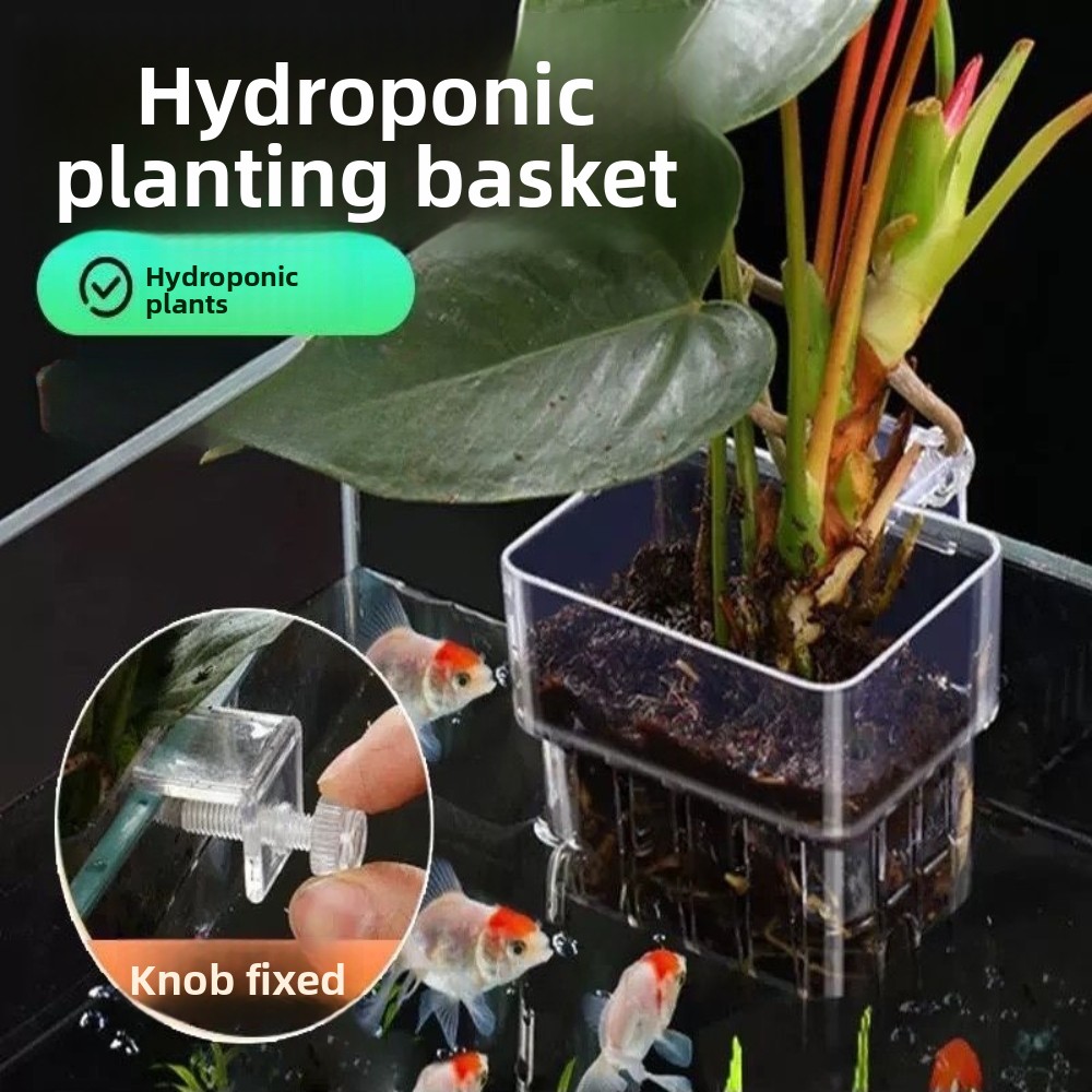 Keranjang Tanam Hidroponik Aku - Aquarium Plant Grass ulasan dan harga