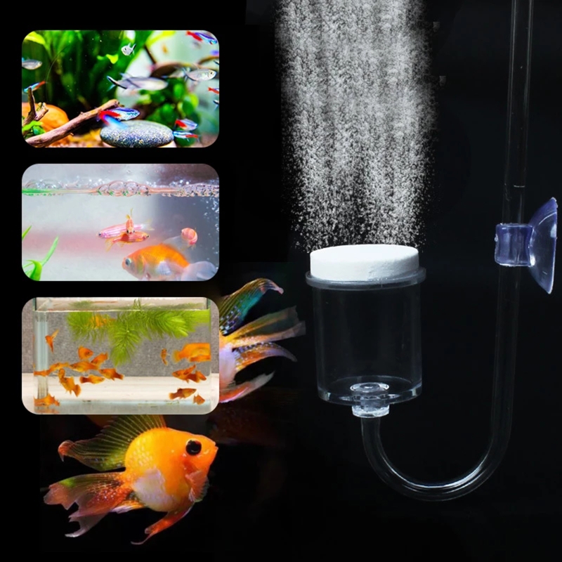 4 buah Set CO2 DIY Diffuser, u - Aquarium Plant Live ulasan dan harga