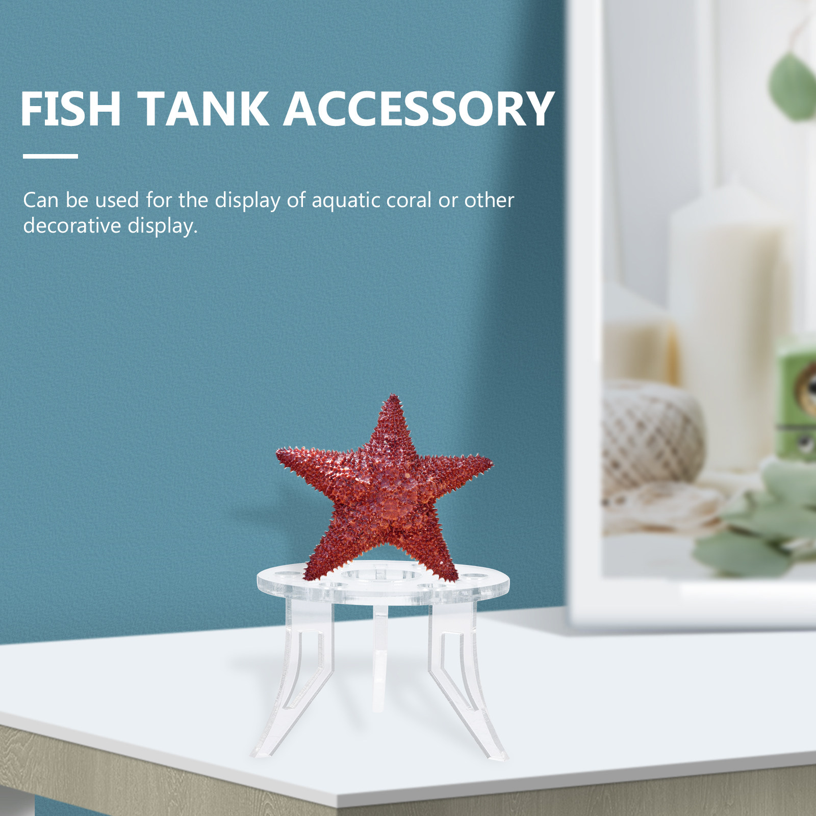 1 Buah Aksesori Akuarium Kokoh - Aquarium Planted Setup ulasan dan harga